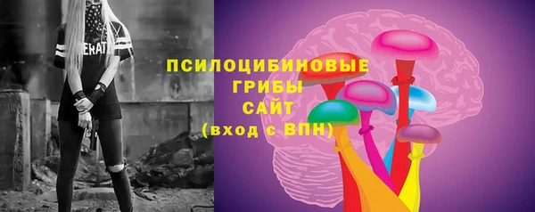 ALPHA PVP Медвежьегорск