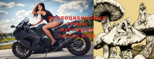 стаф Бронницы