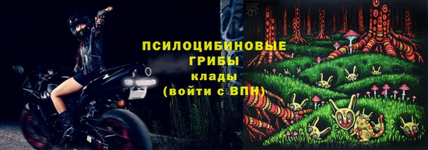 сатива Медногорск