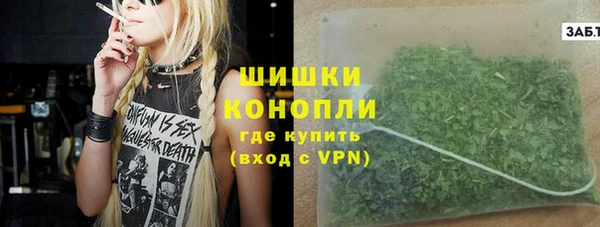 винт Магас